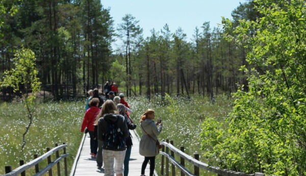 en gångbro i naturen