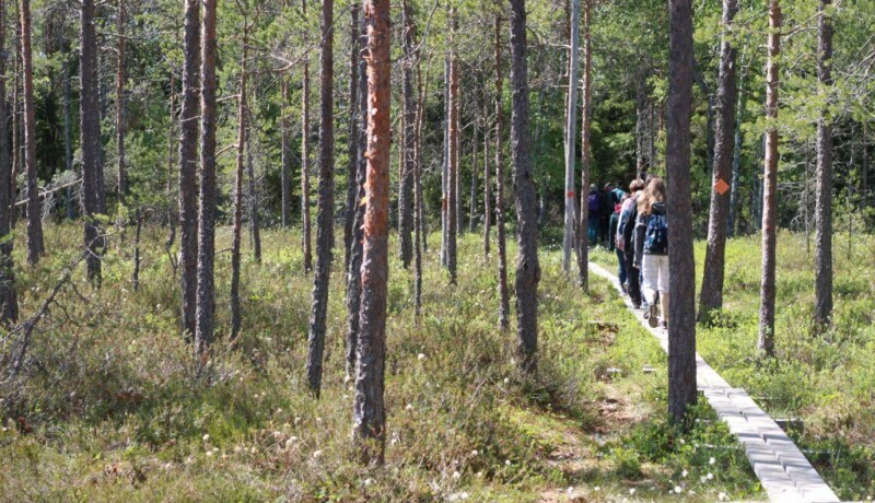 Stig med människor i en skog.