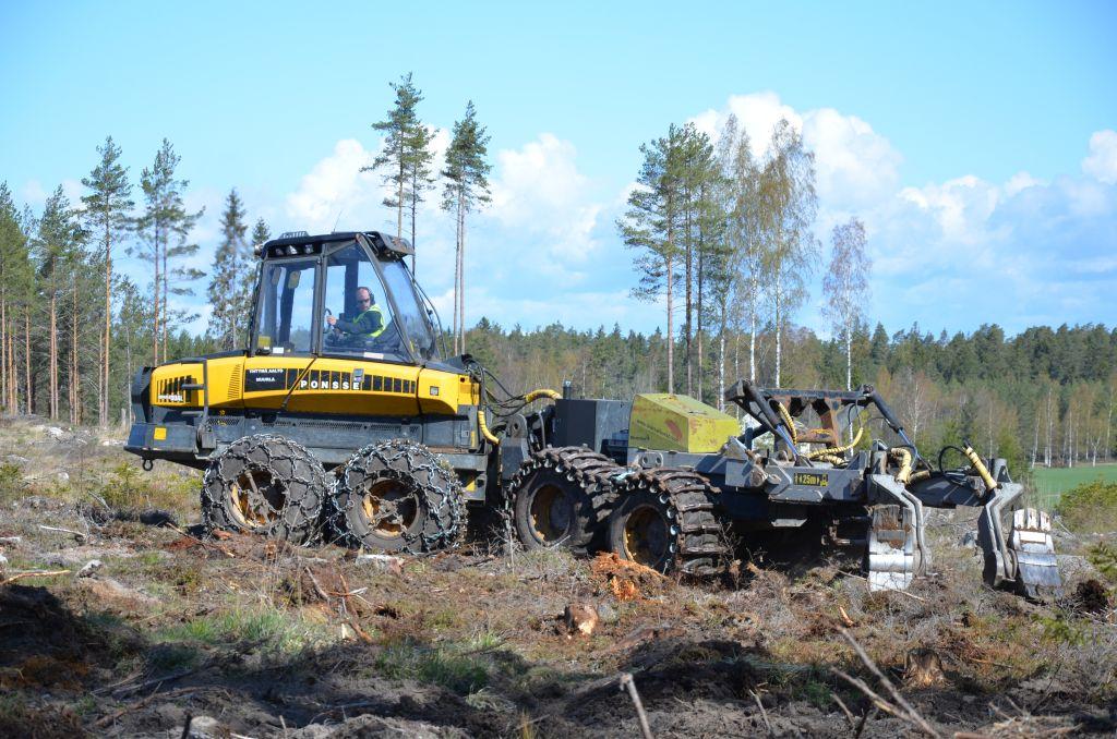 Skogsmaskinen Bräcke på kalhyggesområde.