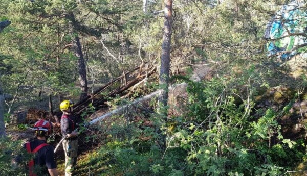 Brandmän släcker brand i skogen