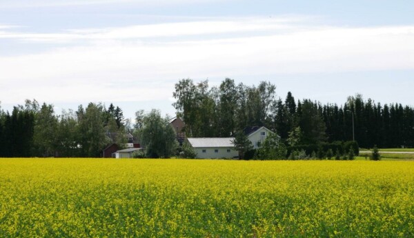 Patis är vidsträckt, med mycket landsbygd och flera små byar.