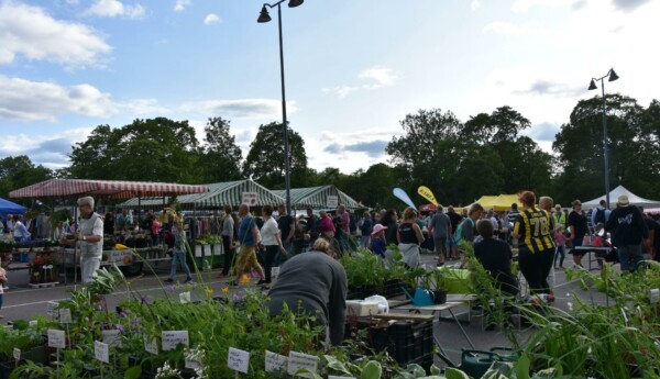 Foto över ett torg där folk rör sig mellan stånden. Framme i bilden ser man gröna örter i krukor.
