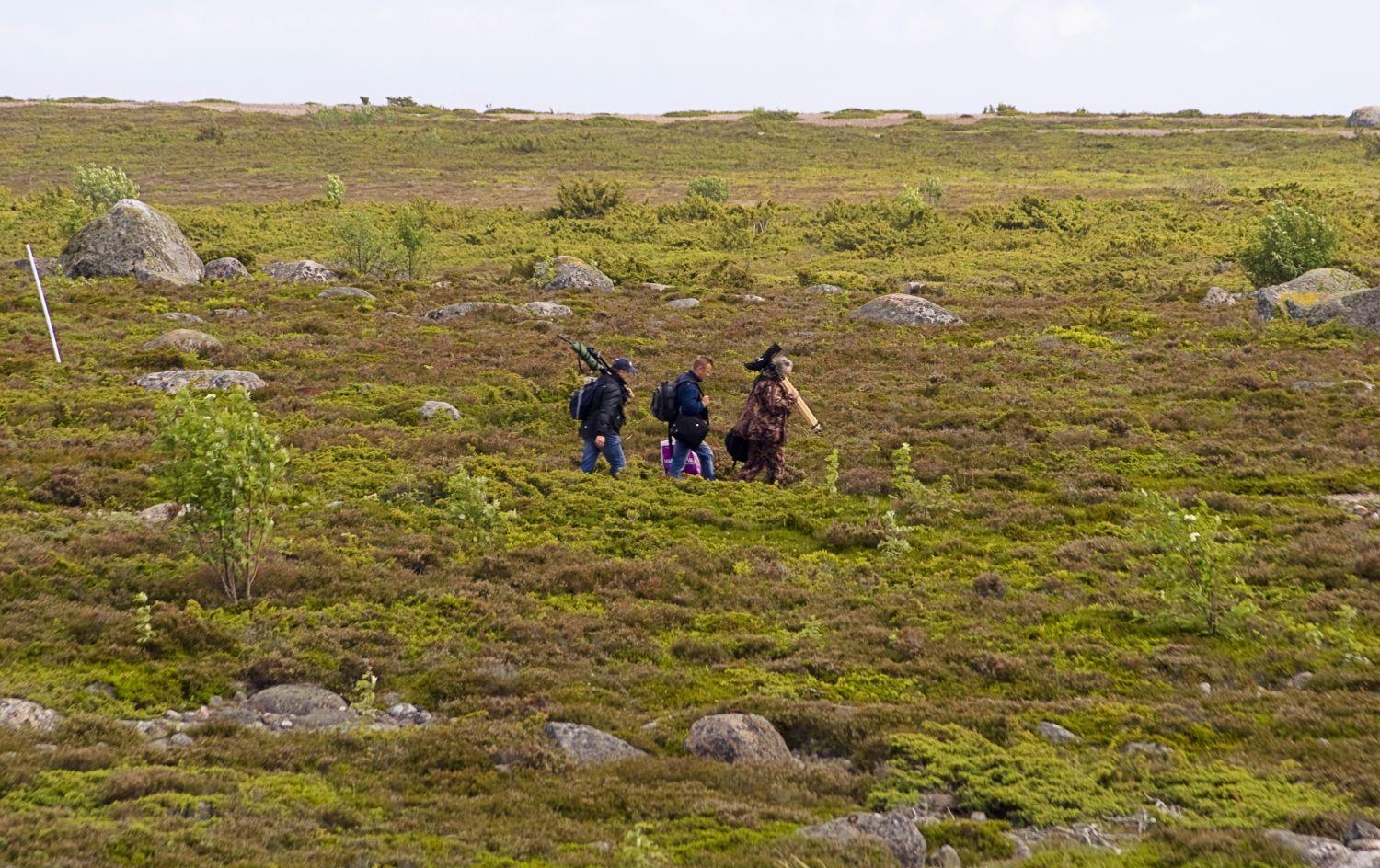 Tre fågelskådare vandrar i öppet landskap
