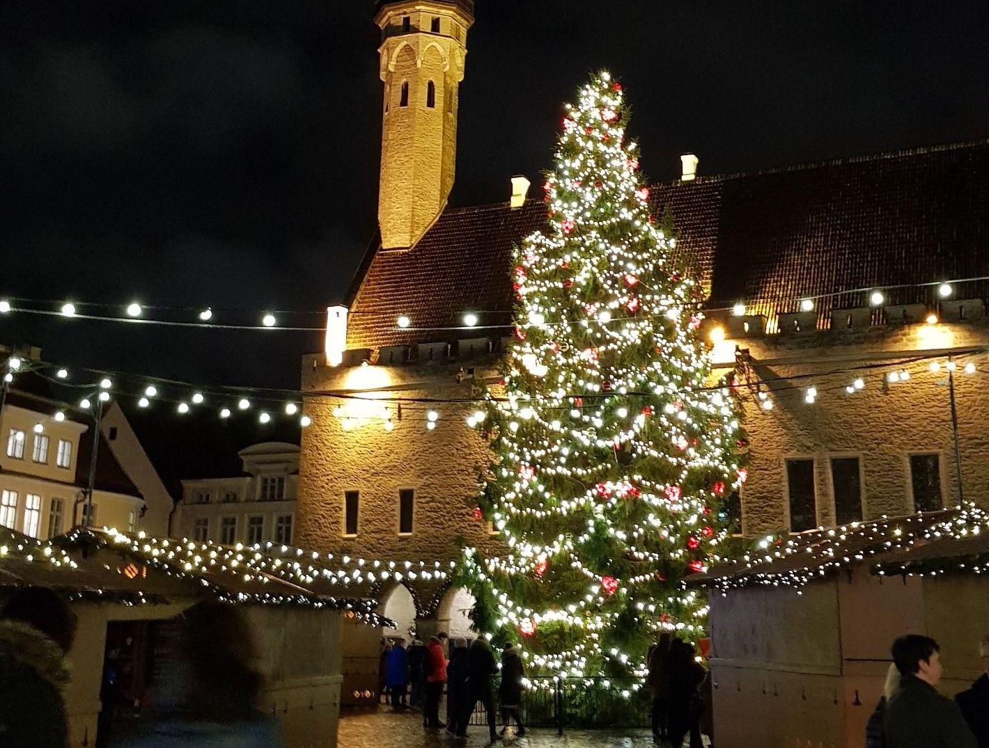 Julgran och upplyst stadshus i Tallinn i mörker