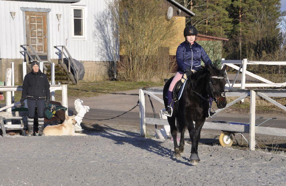 Häst och ryttare på en ridplan. I hörnet står ridläraren, vid hennes fötter en hund