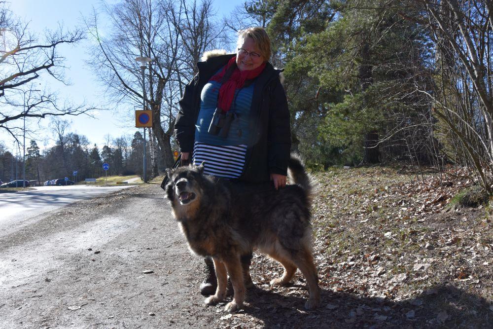 Vit kvinna krafsar stor hund utomhus.
