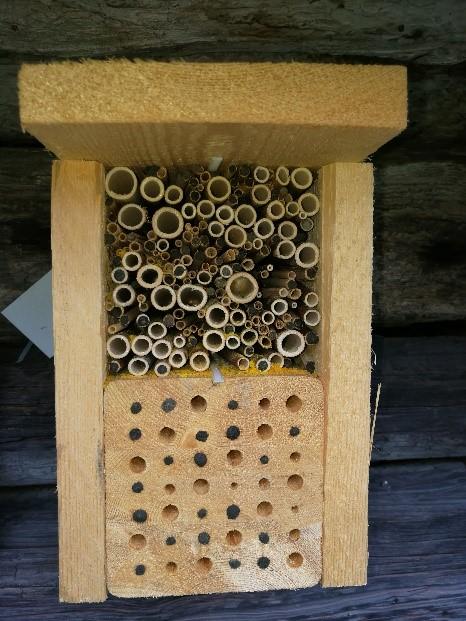 Trädkonstruktion fylld med rör och borrat trä som bildar små tunnlar.