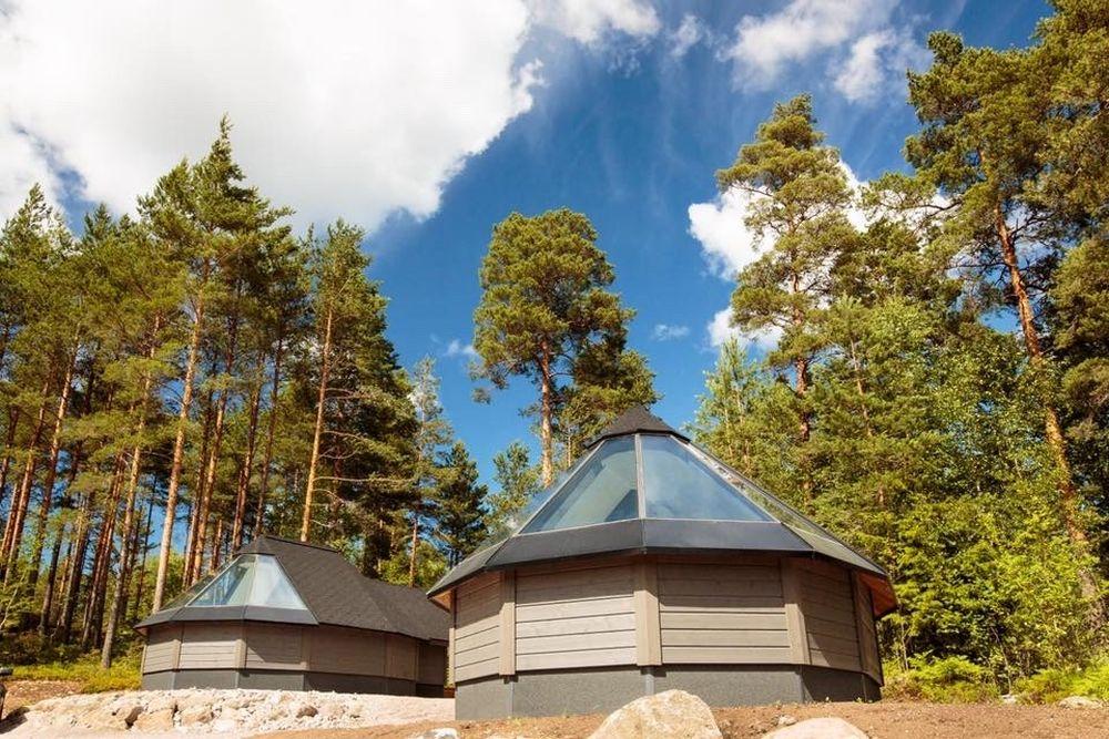 Två låga avlånga kojor med glasade tak står bredvid varandra i en skog.