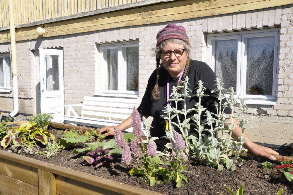 Dam vid en odlingslåda med växter