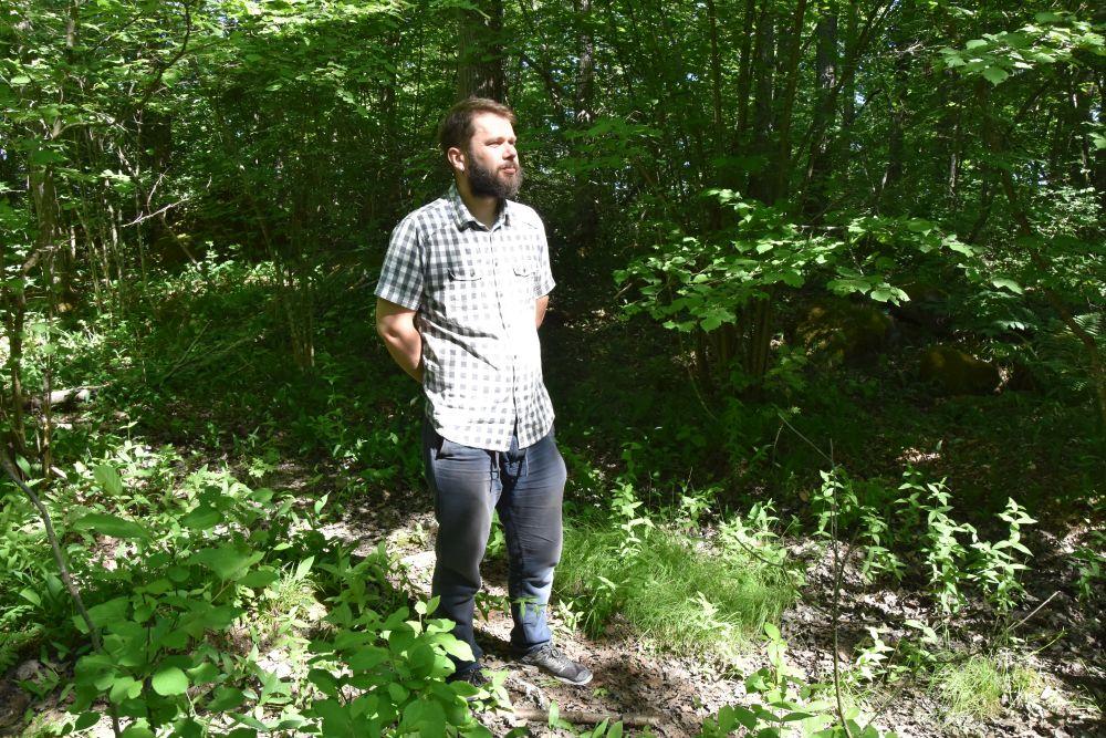 En man står i skogen på sommaren.