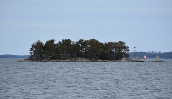 En liten trädbeklädd ö i havet.