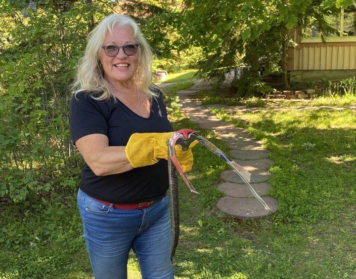 kvinna håller i huggorm med handskar