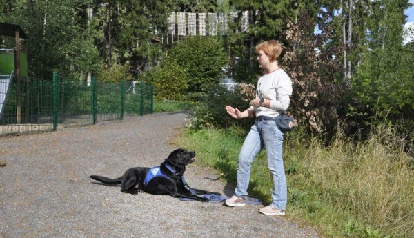 Dam ger med handen kommando åt en hund som är uppmärksam och ligger ner