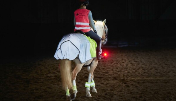 Häst och ryttare försedda med reflex och lampa