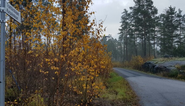 Asfaltväg som efter en bit blir grus. Vägskylten Tranbärsbågen syns.