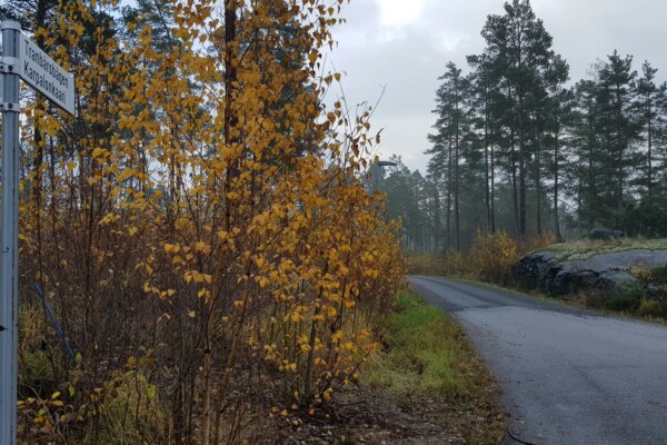 Asfaltväg som efter en bit blir grus. Vägskylten Tranbärsbågen syns.