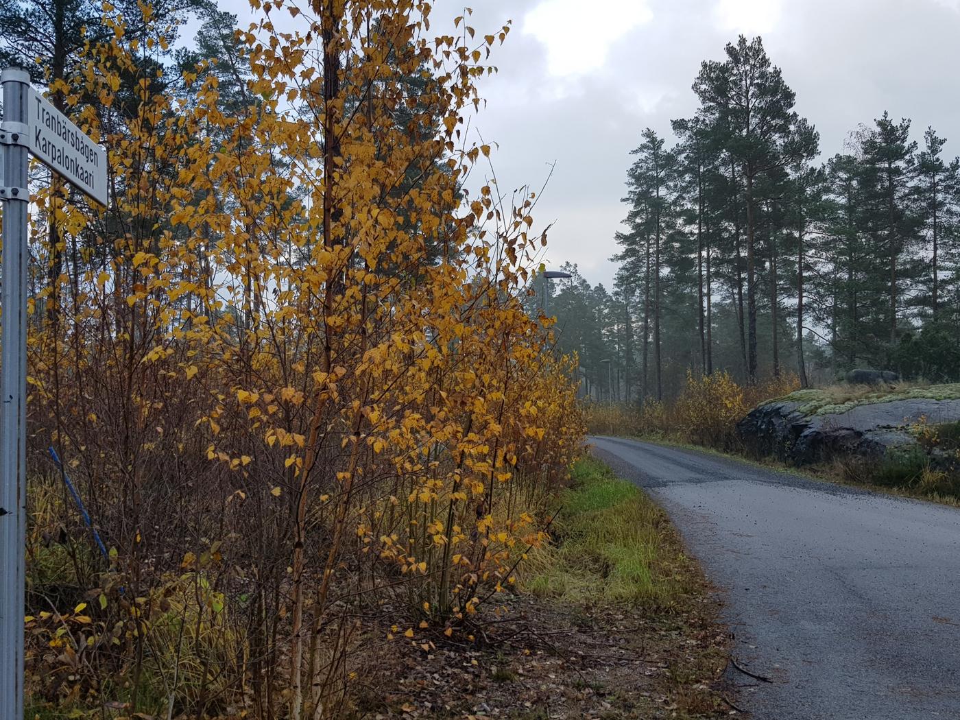 Asfaltväg som efter en bit blir grus. Vägskylten Tranbärsbågen syns.