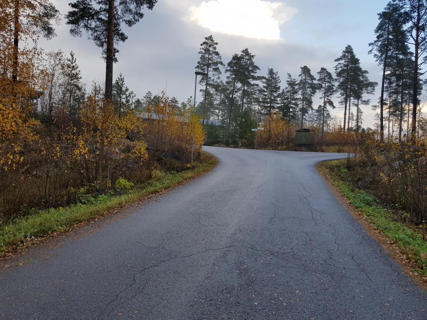 Asfalterad väg som längre fram delar sig i två.