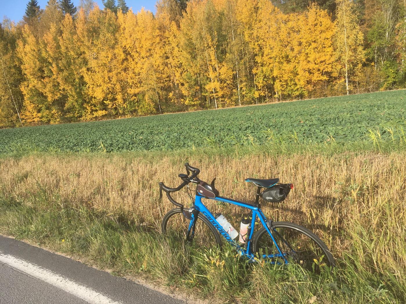 En cykel och en åker. 