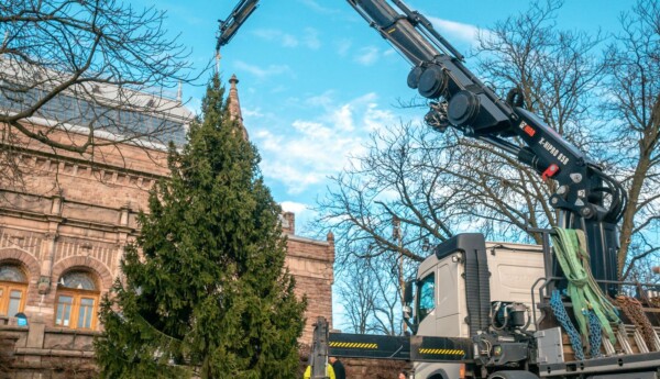 kran reser gran framför byggnad