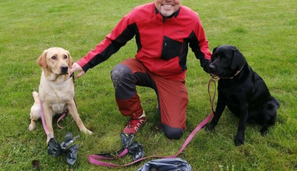 Två tryffelhundar, labradorer, med husse