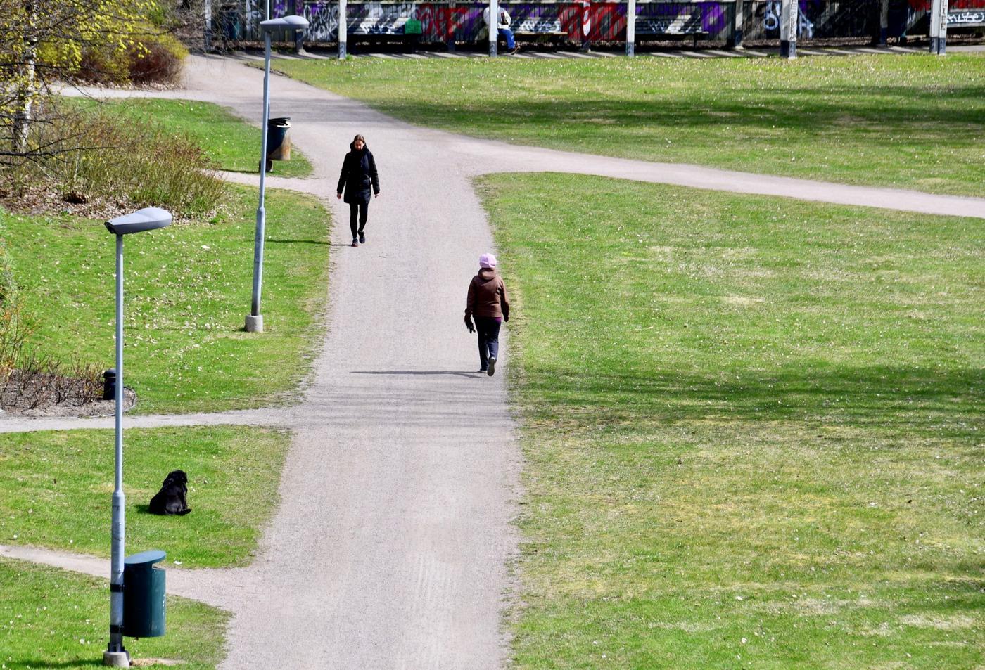 personer i park
