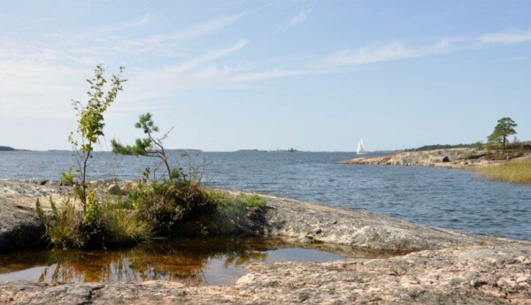 Berg och hav med en segelbåt.