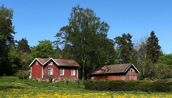 röd sommarstuga på äng