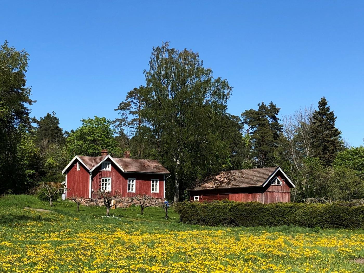 röd sommarstuga på äng