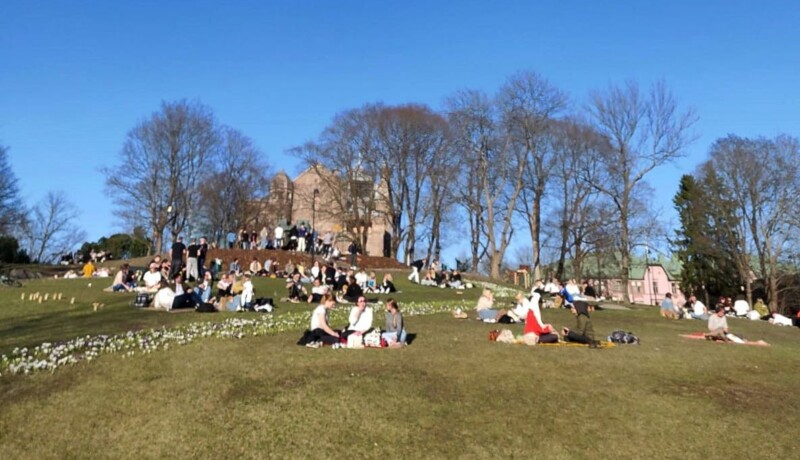 Människor sitter i solstekt park