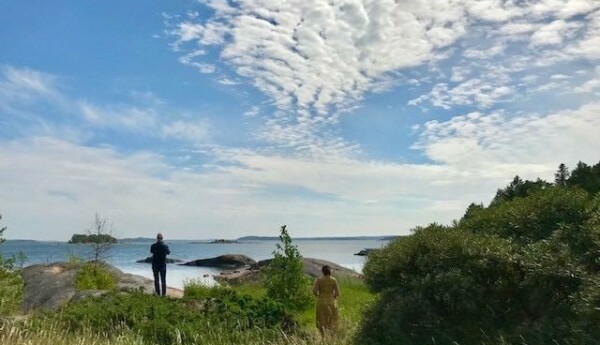 Skärgårdsnatur.