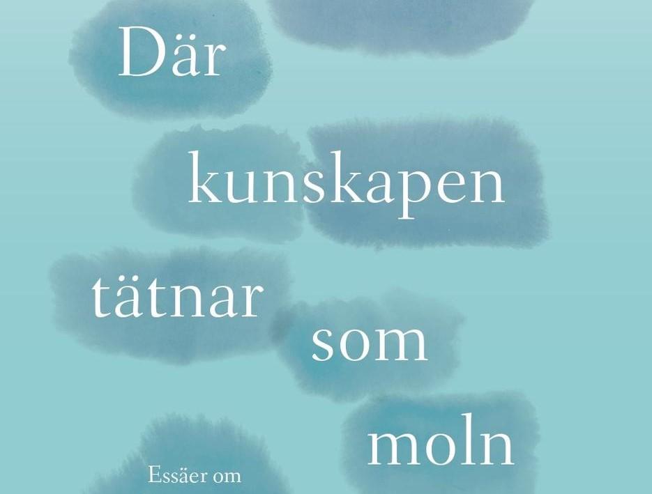 Ett blått bokomslag.