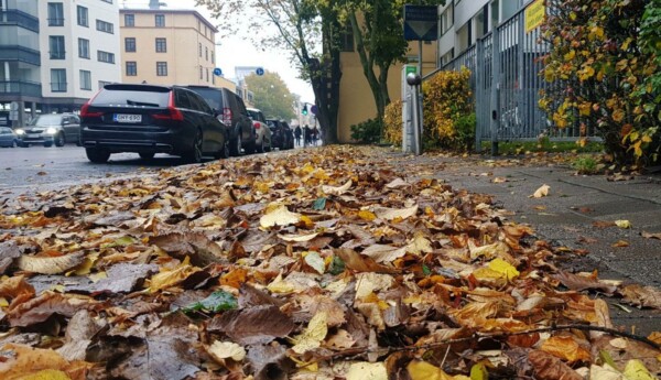 Lövhög på trottoar