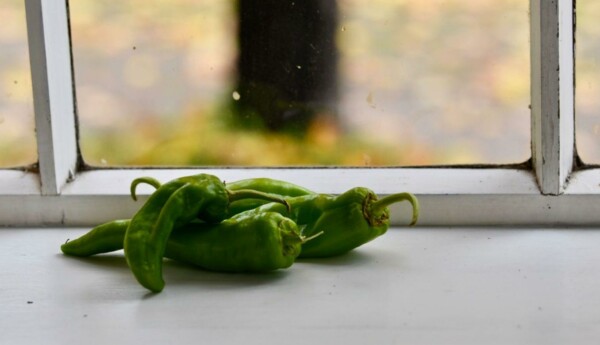 gröna chili på ett bord