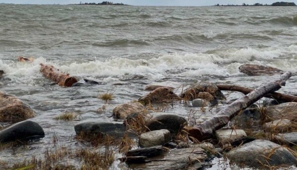 Stockar i havet.
