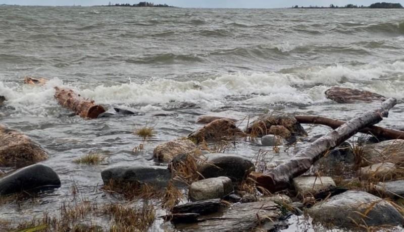 Stockar i havet.