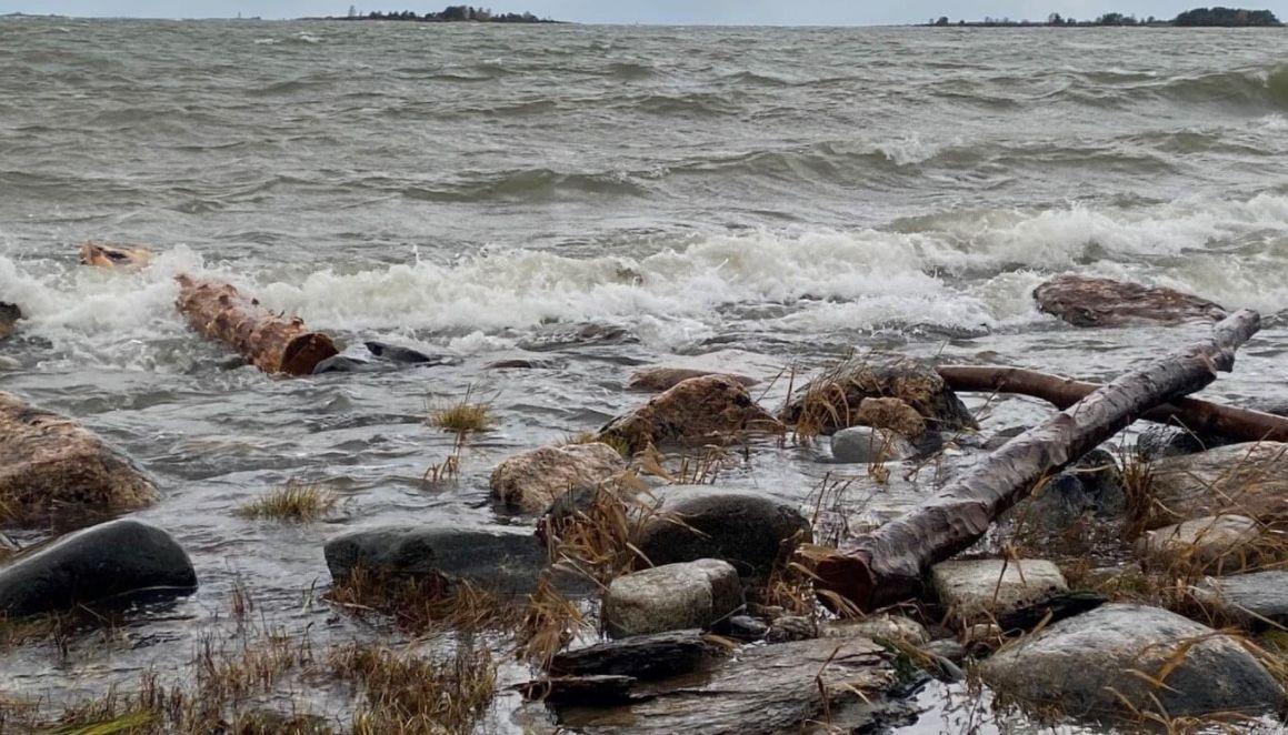Stockar i havet.