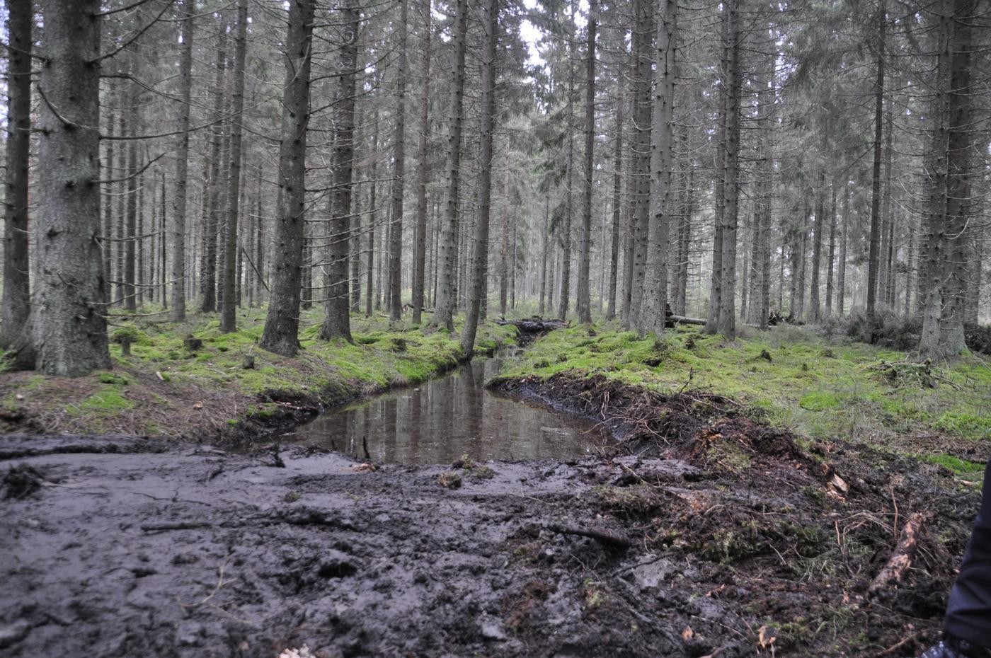 dike som fyllts igen på ett ställe, lämnats öppet på ett annat