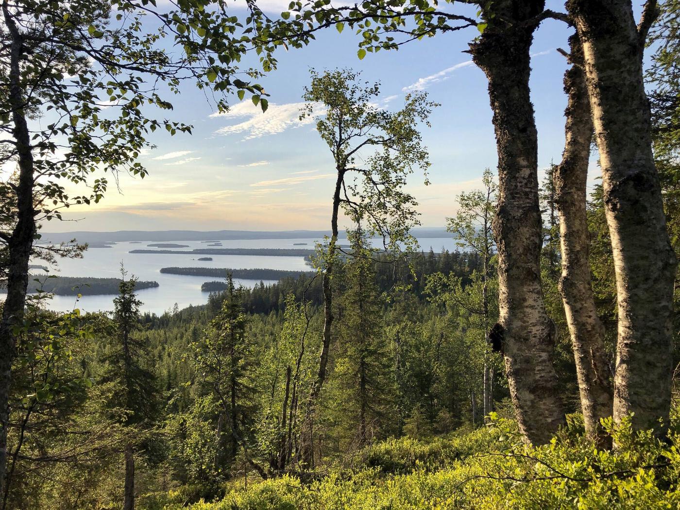 Ett landskap med skog och sjöar.