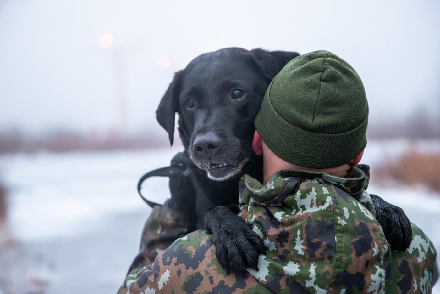 en hund