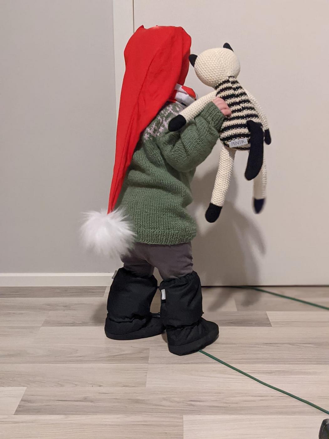 en tomte
