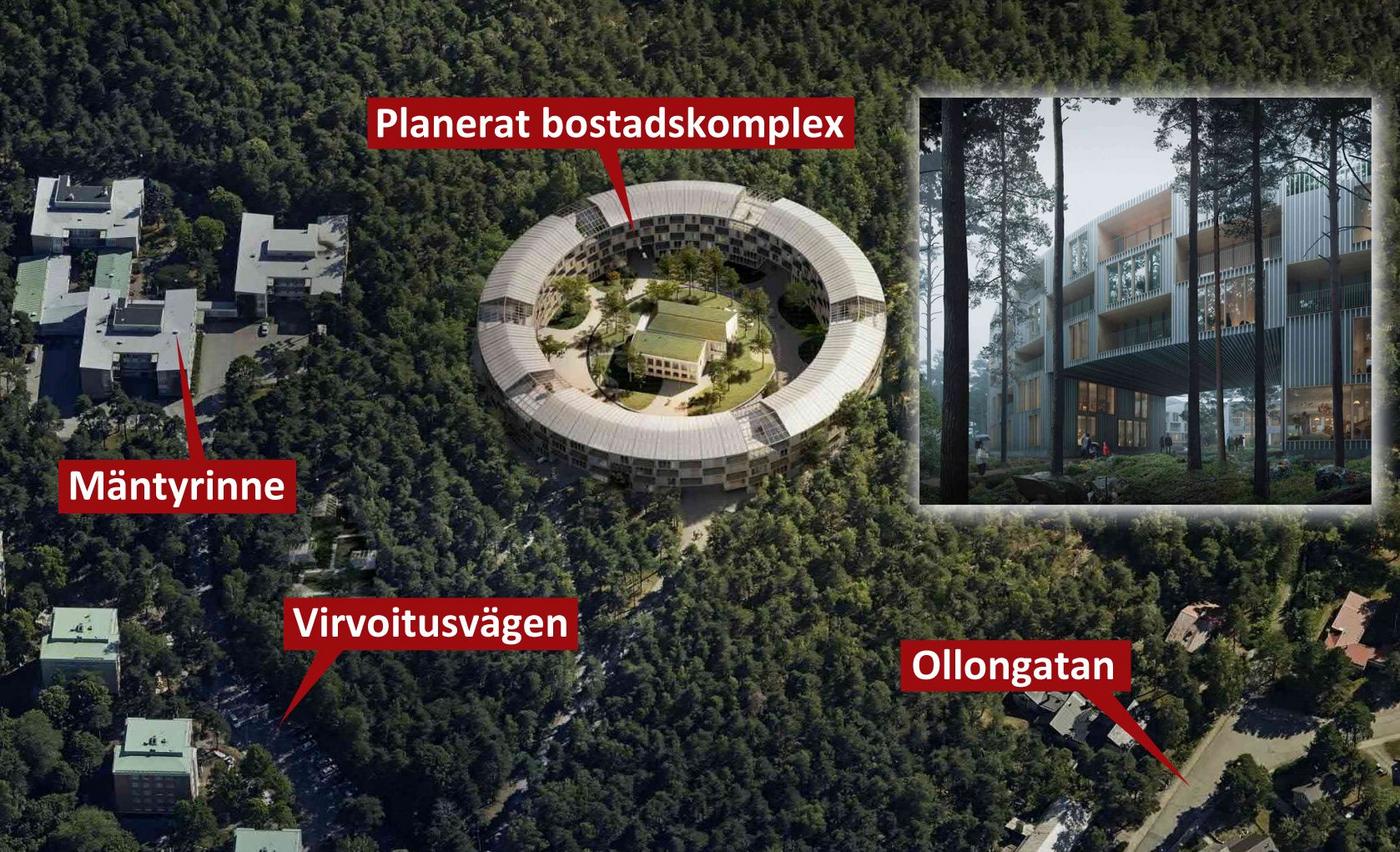 Vision om hur ett hus kunde se ut i en skogsklädd backe