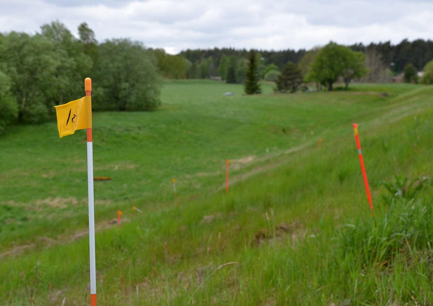 Plastpinnar står i grästäckt backe