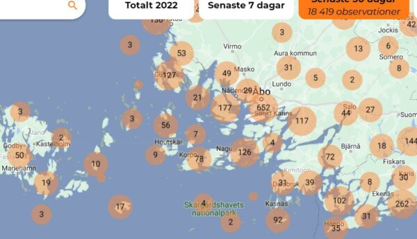 karta