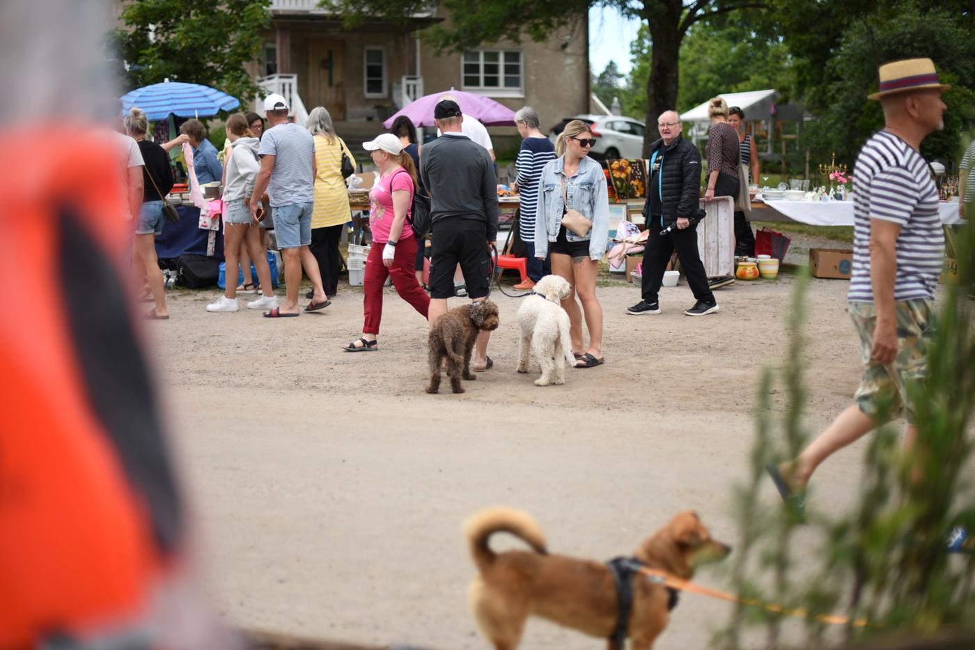 Fyrbenta vänner. Många hundar hade hittat till loppmarknaden.
