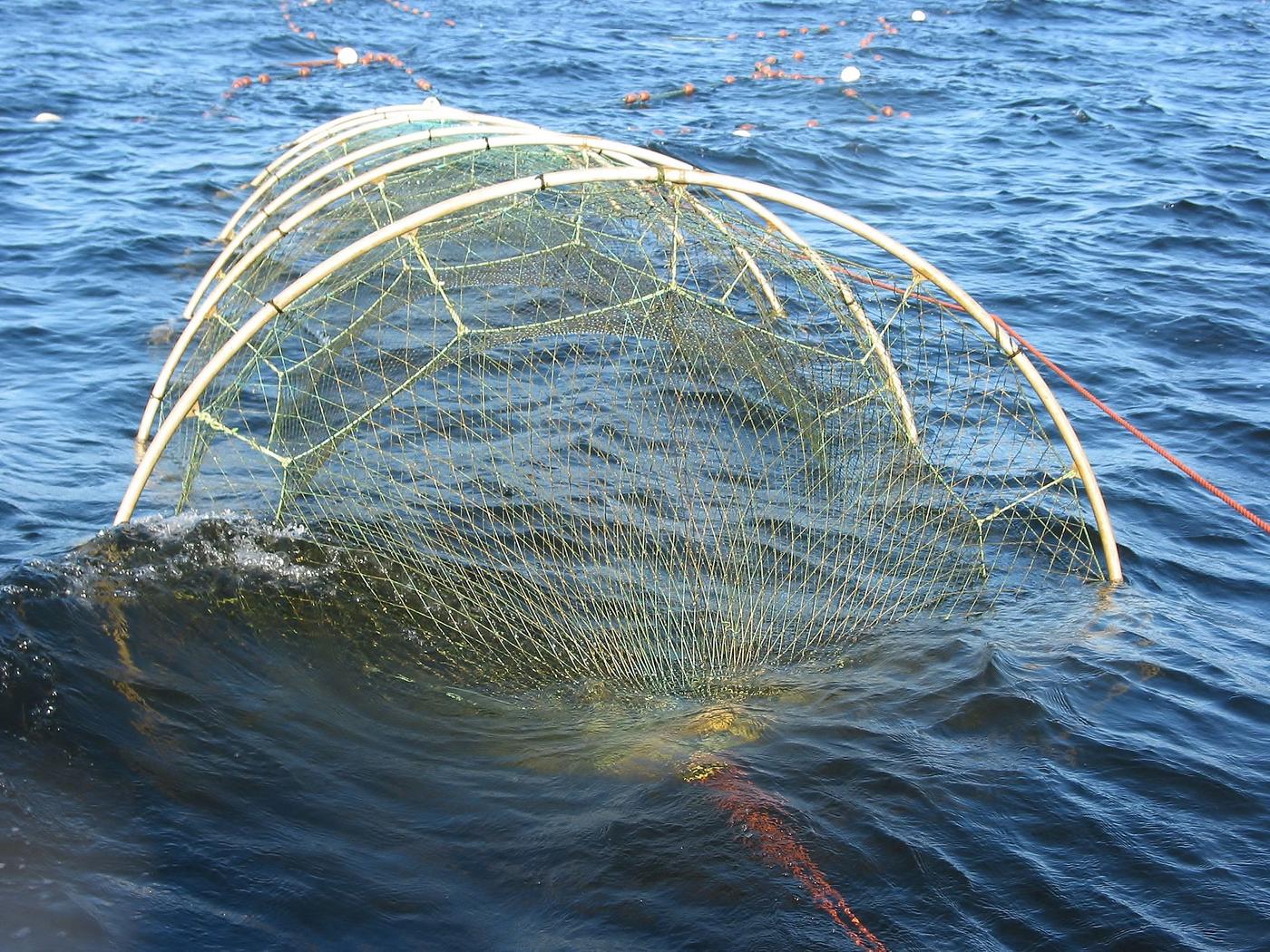fiskeredskap