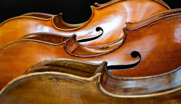 cello