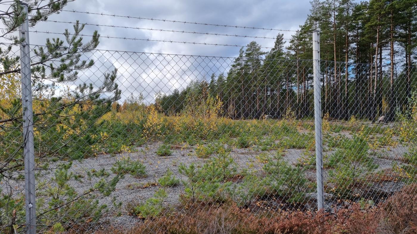 De igenvuxna bilplanerna lämpar sig väl för solkraftverk.