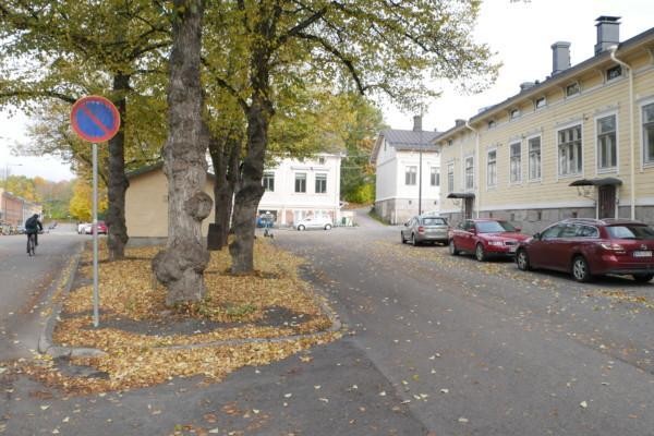 En gata som delas av en parkdunge.