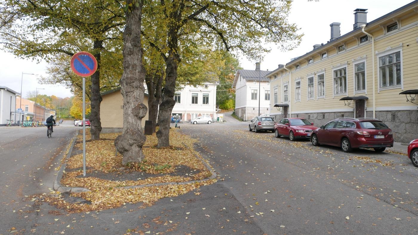 En gata som delas av en parkdunge.